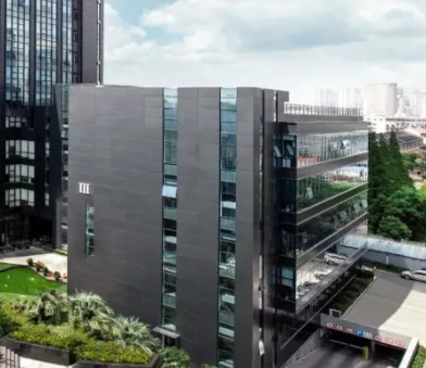 2025年轻量化管理软件技术趋势及西南市场应用观察
